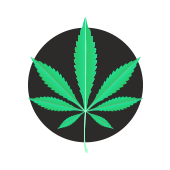 Cuestionario sobre el consumo de cannabis